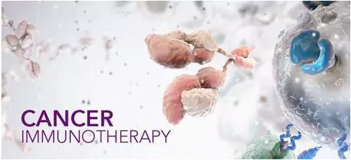 Understanding Immunotherapy: A Revolutionary Approach to Cancer Treatment